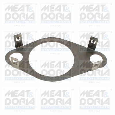 Gasket, EGR valve